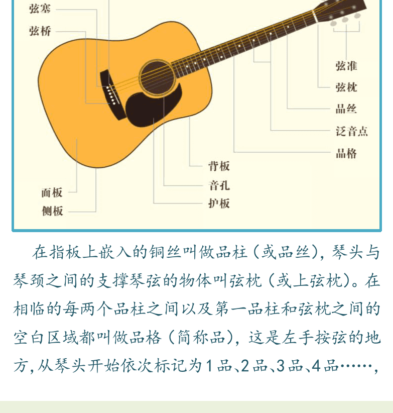 民谣吉他初级教程 第8页  吉他结构  吉他调弦  [左下]